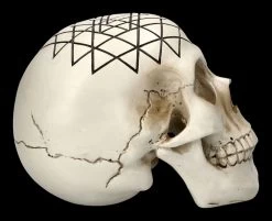 Totenkopf - Heilige Geometrie - Yantra -Modell Und Figurengeschäft 2D FS23024 Totenkopf Heilige Geometrie Yantra 4 1280x1280