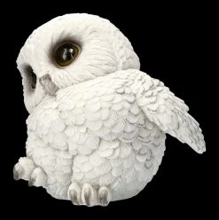 Eulen Figur - Schneeeulen Baby Feathers 8 Eulen Figur - Schneeeulen Baby Feathers -Modell Und Figurengeschäft 2D FS23180 Eulen Figur Schneeeulen Baby Feathers 7 1280x1280