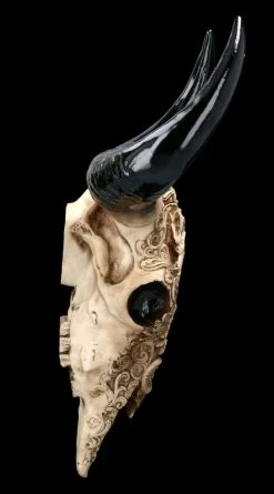 Wandrelief Stier Schädel - Drachenmotiv Groß -Modell Und Figurengeschäft 2D FS23374 Wandrelief Stier Schadel Drachenmotiv gross 12 1280x1280