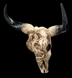Wandrelief Stier Schädel - Drachenmotiv Groß -Modell Und Figurengeschäft 2D FS23374 Wandrelief Stier Schadel Drachenmotiv gross 8 1280x1280