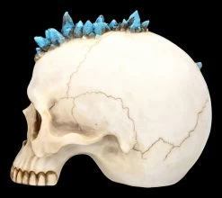 Totenkopf Mit Drache - Crystal Cave Blue 11 Totenkopf Mit Drache - Crystal Cave Blue -Modell Und Figurengeschäft 2D FS23381 Totenkopf mit Drache Crystal Cave Blue 8 1280x1280