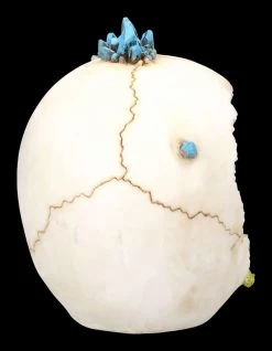 Totenkopf Mit Drache - Crystal Cave Blue 12 Totenkopf Mit Drache - Crystal Cave Blue -Modell Und Figurengeschäft 2D FS23381 Totenkopf mit Drache Crystal Cave Blue 9 1280x1280