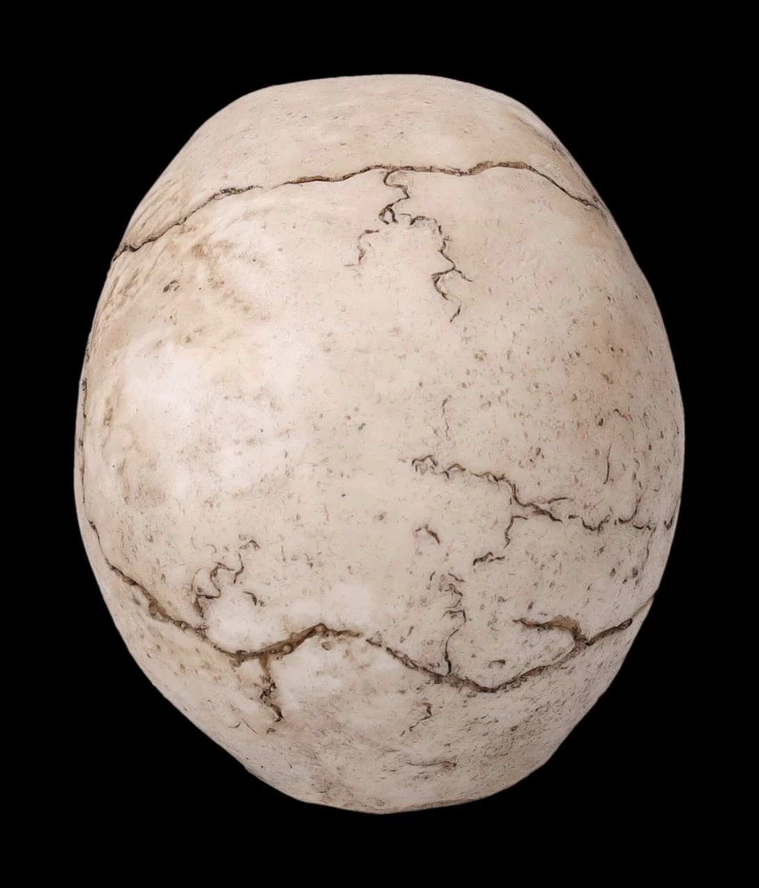 Totenkopf Figur - Witzbold 4 Totenkopf Figur - Witzbold – Bild 4