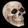 Totenkopf Figur - Witzbold