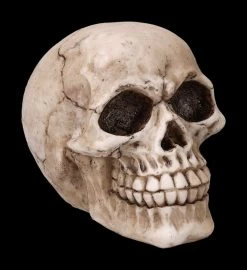 Totenkopf Figur - Witzbold