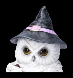 Eulen Figur Braut Zaubertrank -Modell Und Figurengeschäft 2D FS23467 Eulen Figur braut Zaubertrank 9 1280x1280