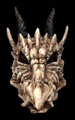 Schatulle - Drachen Totenschädel 10 Schatulle - Drachen Totenschädel -Modell Und Figurengeschäft 2D FS23495 Schatulle DrachenTotensch del 1He7tpnxrA1iu6 1280x1280