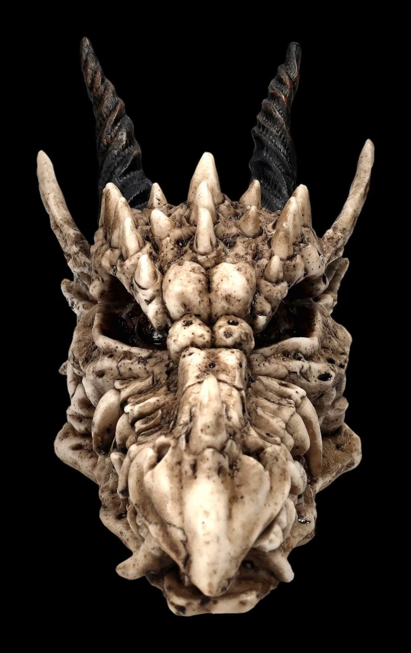 Schatulle - Drachen Totenschädel 4 Schatulle - Drachen Totenschädel – Bild 4