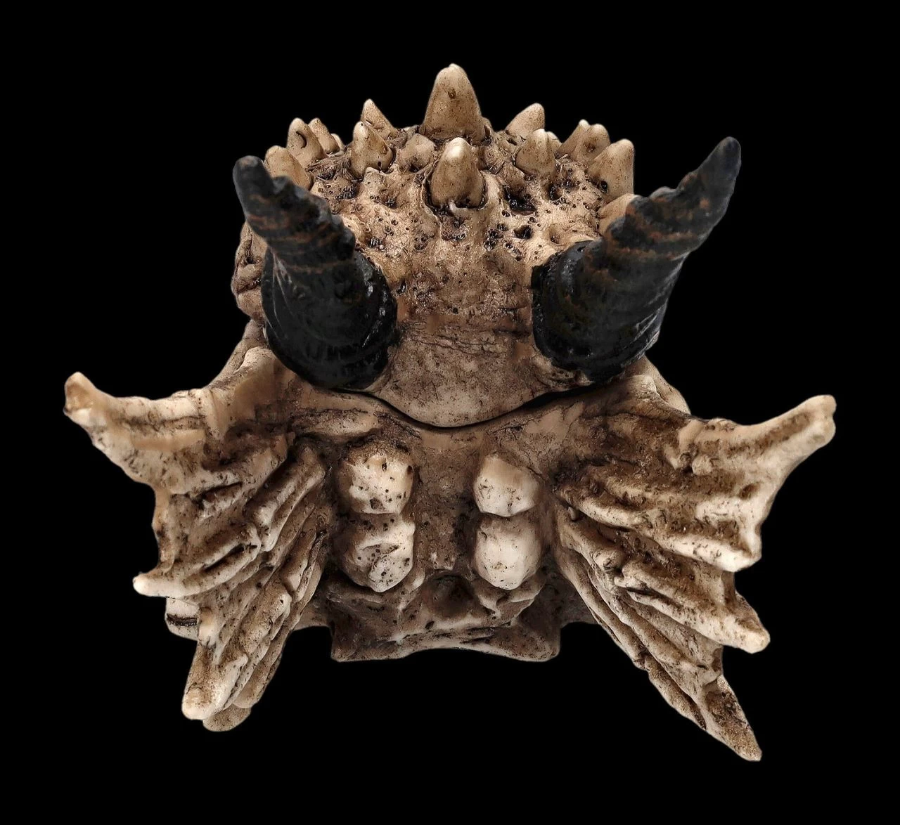 Schatulle - Drachen Totenschädel 6 Schatulle - Drachen Totenschädel – Bild 6