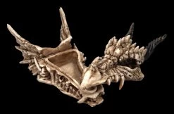 Schatulle - Drachen Totenschädel 9 Schatulle - Drachen Totenschädel -Modell Und Figurengeschäft 2D FS23495 Schatulle DrachenTotensch del 75pNzV6PhQKFCf 1280x1280