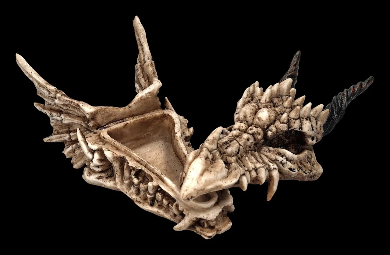 Schatulle - Drachen Totenschädel 3 Schatulle - Drachen Totenschädel – Bild 3