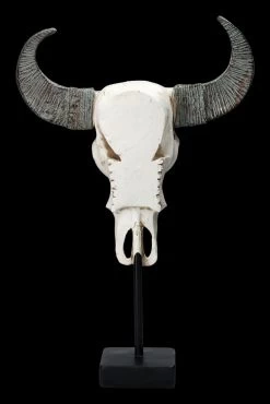 Bullen Totenkopf - Verziert Mit Ständer 10 Bullen Totenkopf - Verziert Mit Ständer -Modell Und Figurengeschäft 2D FS23525 Bullen Totenkopf mit Verzierungen und St nder 3 1280x1280