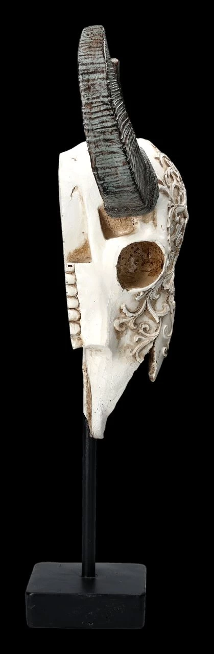 Bullen Totenkopf - Verziert Mit Ständer 5 Bullen Totenkopf - Verziert Mit Ständer – Bild 5