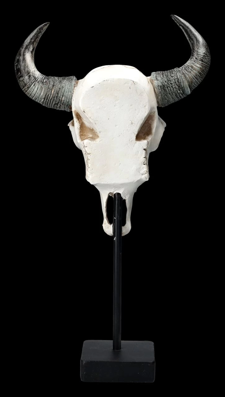 Stier Totenkopf - Verziert Mit Ständer 4 Stier Totenkopf - Verziert Mit Ständer – Bild 4