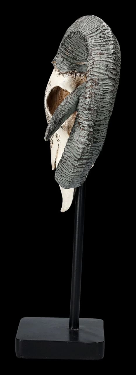 Widder Totenkopf - Verziert Mit Ständer 4 Widder Totenkopf - Verziert Mit Ständer – Bild 4