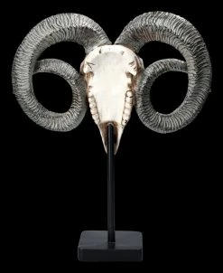 Widder Totenkopf - Verziert Mit Ständer 11 Widder Totenkopf - Verziert Mit Ständer -Modell Und Figurengeschäft 2D FS23527 Widder Totenkopf mit Verzeirungen und St nder 3 1280x1280