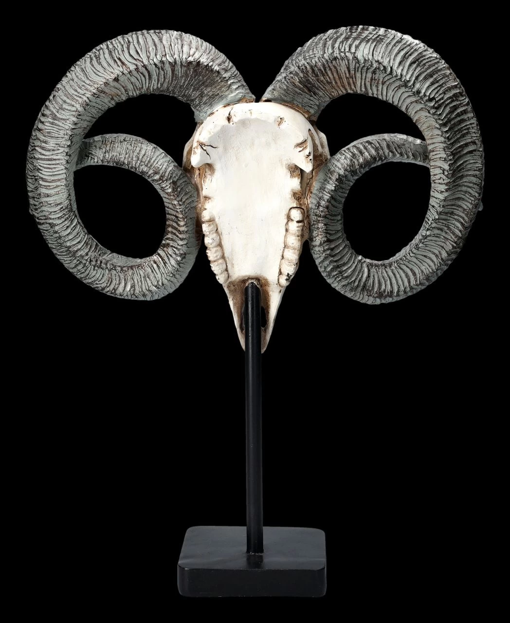 Widder Totenkopf - Verziert Mit Ständer 5 Widder Totenkopf - Verziert Mit Ständer – Bild 5