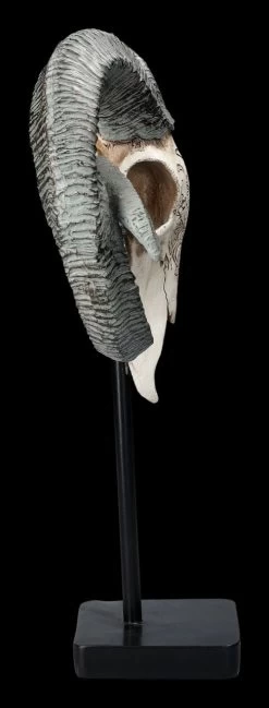 Widder Totenkopf - Verziert Mit Ständer 12 Widder Totenkopf - Verziert Mit Ständer -Modell Und Figurengeschäft 2D FS23527 Widder Totenkopf mit Verzeirungen und St nder 4 1280x1280