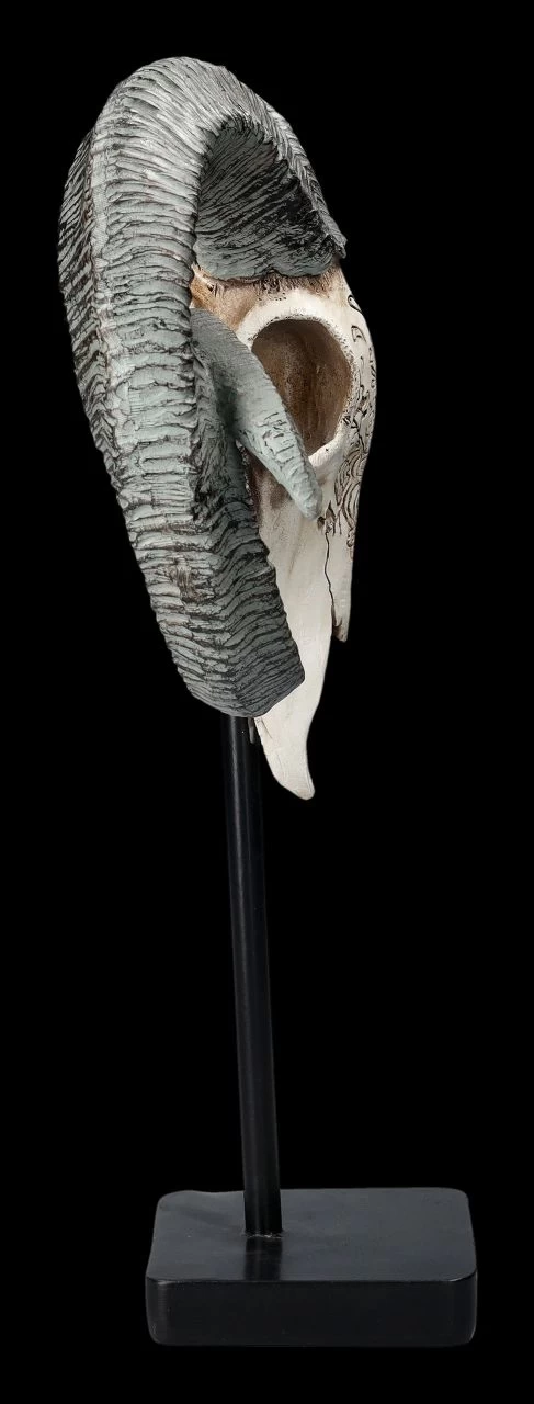 Widder Totenkopf - Verziert Mit Ständer 6 Widder Totenkopf - Verziert Mit Ständer – Bild 6