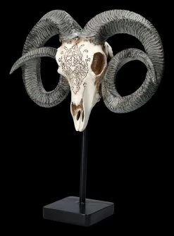 Widder Totenkopf - Verziert Mit Ständer 9 Widder Totenkopf - Verziert Mit Ständer -Modell Und Figurengeschäft 2D FS23527 Widder Totenkopf mit Verzeirungen und St nder 6 1280x1280