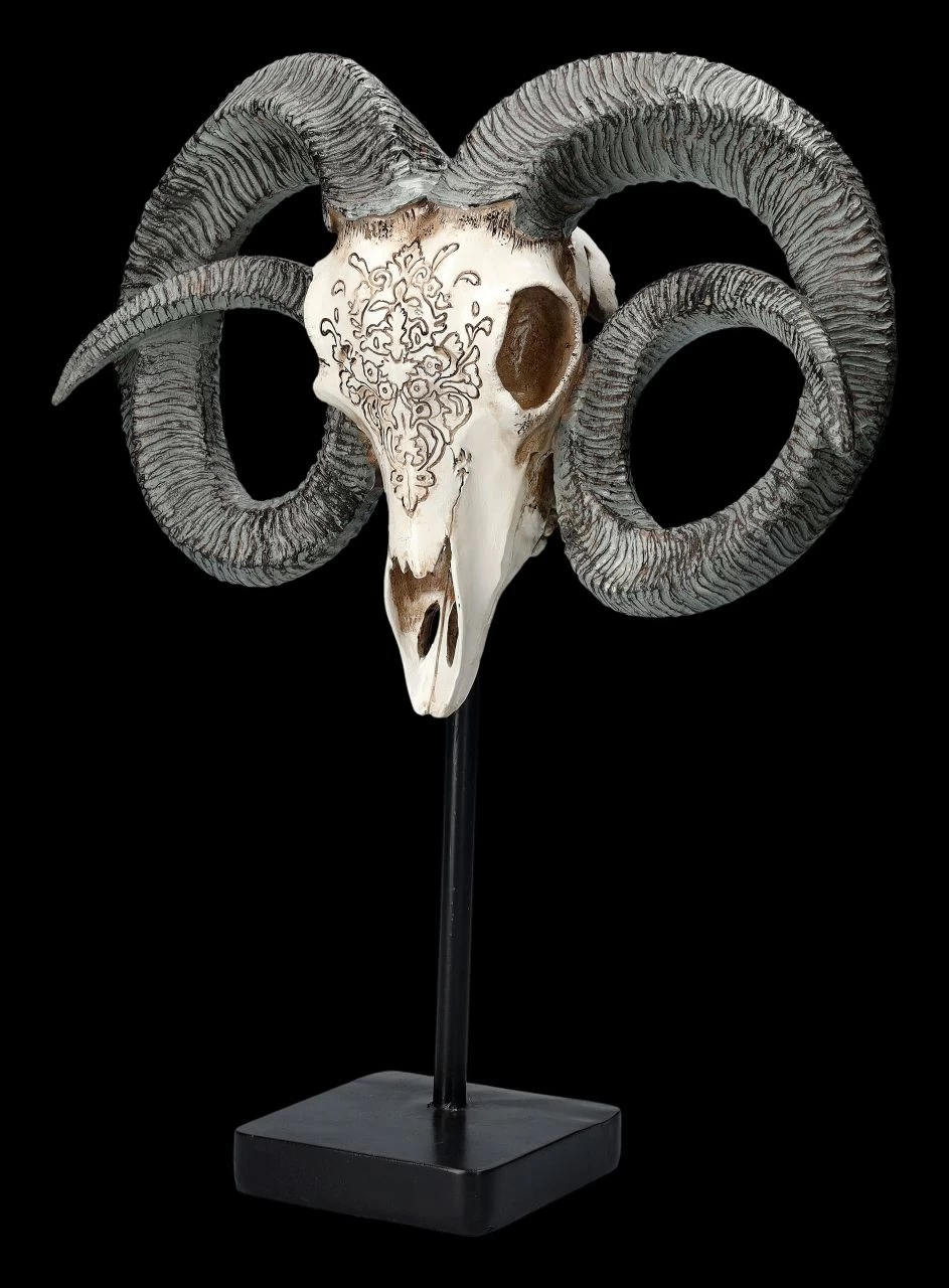 Widder Totenkopf - Verziert Mit Ständer 3 Widder Totenkopf - Verziert Mit Ständer – Bild 3