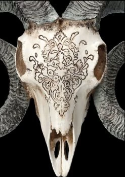 Widder Totenkopf - Verziert Mit Ständer 13 Widder Totenkopf - Verziert Mit Ständer -Modell Und Figurengeschäft 2D FS23527 Widder Totenkopf mit Verzeirungen und St nder 8 1280x1280