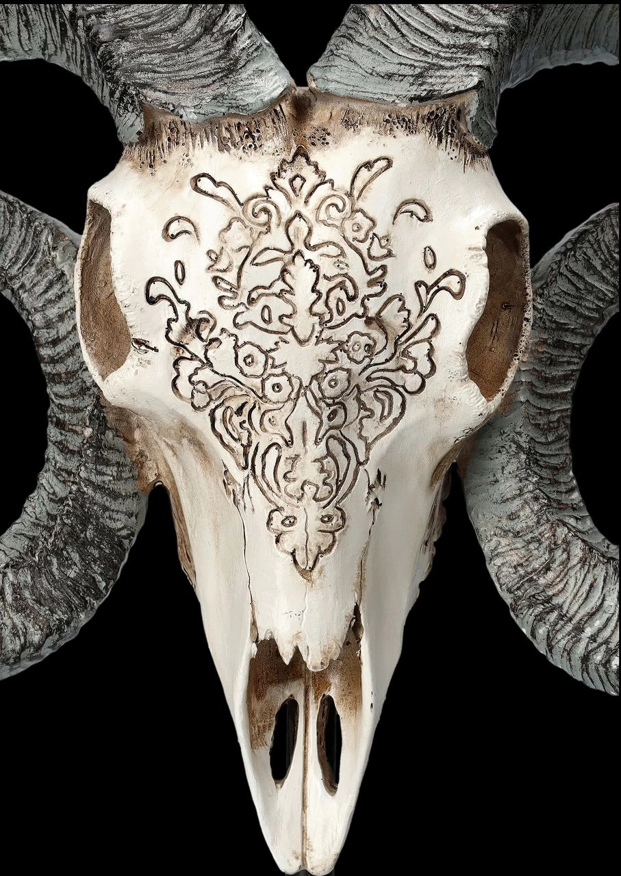 Widder Totenkopf - Verziert Mit Ständer 7 Widder Totenkopf - Verziert Mit Ständer – Bild 7