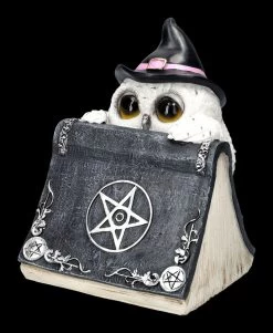 Eulenfigur Hexe - Owl's Spell 12 Eulenfigur Hexe - Owl's Spell -Modell Und Figurengeschäft 2D FS23871 Eulenfigur Hexe Owls Spell 7 1280x1280