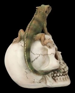 Totenkopf Mit Leguan 12 Totenkopf Mit Leguan -Modell Und Figurengeschäft 2D FS23932 Totenkopf mit Leguan 4 1280x1280