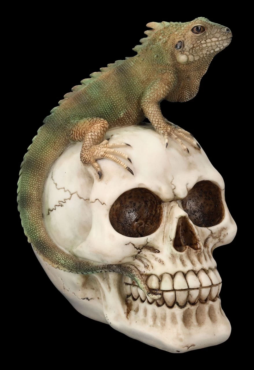 Totenkopf Mit Leguan 1 Totenkopf Mit Leguan
