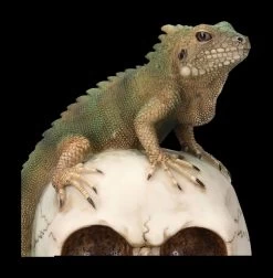 Totenkopf Mit Leguan 14 Totenkopf Mit Leguan -Modell Und Figurengeschäft 2D FS23932 Totenkopf mit Leguan 8 1280x1280