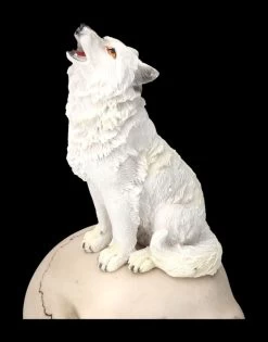 Totenkopf Mit Weißem Wolf -Modell Und Figurengeschäft 2D FS23933 Totenkopf mit weissem Wolf 10 1280x1280