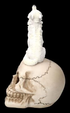 Totenkopf Mit Weißem Wolf -Modell Und Figurengeschäft 2D FS23933 Totenkopf mit weissem Wolf 4 1280x1280