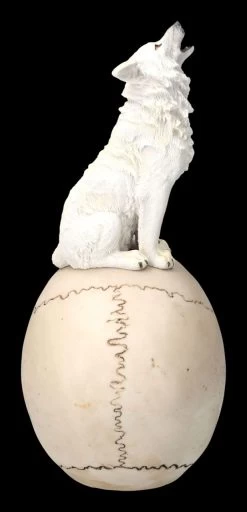 Totenkopf Mit Weißem Wolf -Modell Und Figurengeschäft 2D FS23933 Totenkopf mit weissem Wolf 5 1280x1280