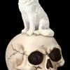 Totenkopf Mit Weißem Wolf