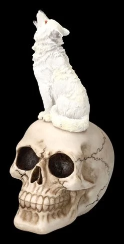 Totenkopf Mit Weißem Wolf -Modell Und Figurengeschäft 2D FS23933 Totenkopf mit weissem Wolf 8 1280x1280