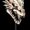 Drachen Totenkopf Auf Ständer