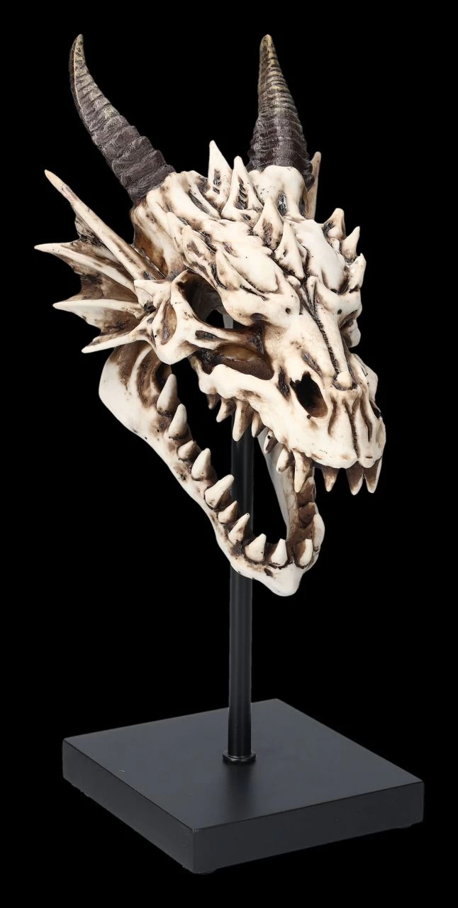 Drachen Totenkopf Auf Ständer 1 Drachen Totenkopf Auf Ständer