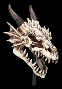 Drachen Totenkopf Auf Ständer 13 Drachen Totenkopf Auf Ständer -Modell Und Figurengeschäft 2D FS23949 Drachen Totenkopf auf Stander 10 1280x1280