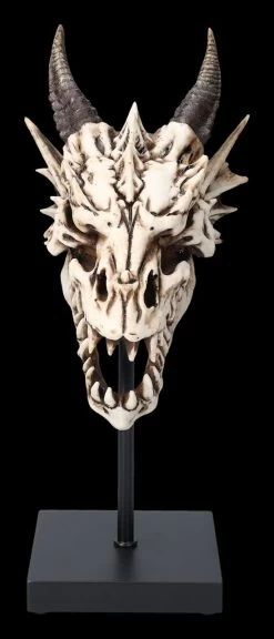 Drachen Totenkopf Auf Ständer 9 Drachen Totenkopf Auf Ständer -Modell Und Figurengeschäft 2D FS23949 Drachen Totenkopf auf Stander 4 1280x1280