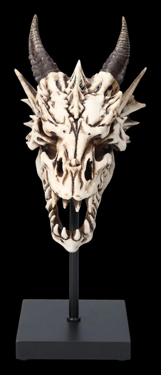 Drachen Totenkopf Auf Ständer 3 Drachen Totenkopf Auf Ständer – Bild 3