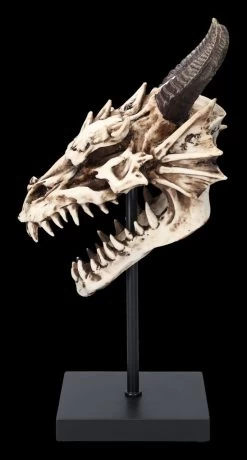 Drachen Totenkopf Auf Ständer 12 Drachen Totenkopf Auf Ständer -Modell Und Figurengeschäft 2D FS23949 Drachen Totenkopf auf Stander 5 1280x1280