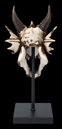 Drachen Totenkopf Auf Ständer 11 Drachen Totenkopf Auf Ständer -Modell Und Figurengeschäft 2D FS23949 Drachen Totenkopf auf Stander 6 1280x1280