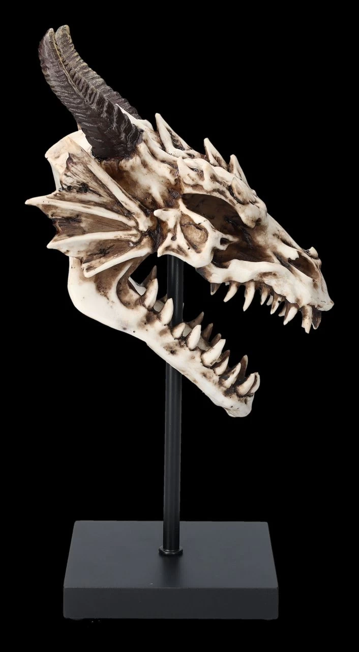 Drachen Totenkopf Auf Ständer 2 Drachen Totenkopf Auf Ständer – Bild 2