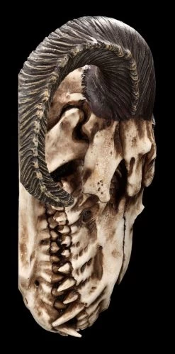 Wandrelief - Teuflischer Schädel Mit Pentagramm -Modell Und Figurengeschäft 2D FS23952 Wandrelief Teuflischer Schadel mit Pentagramm 11 1280x1280