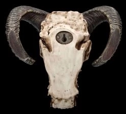 Wandrelief - Teuflischer Schädel Mit Pentagramm -Modell Und Figurengeschäft 2D FS23952 Wandrelief Teuflischer Schadel mit Pentagramm 12 1280x1280