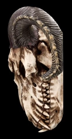 Wandrelief - Teuflischer Schädel Mit Pentagramm -Modell Und Figurengeschäft 2D FS23952 Wandrelief Teuflischer Schadel mit Pentagramm 2 1280x1280