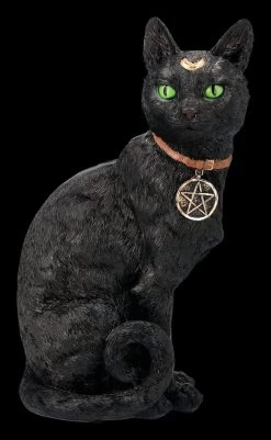 Mystische Katzen Figur Mit Magischen Symbolen