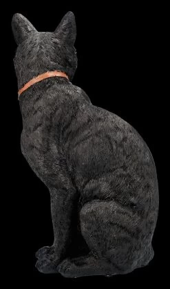 Mystische Katzen Figur Mit Magischen Symbolen 10 Mystische Katzen Figur Mit Magischen Symbolen -Modell Und Figurengeschäft 2D FS24007 Sitzende Katzen Figur mit magischen Symbolen 7 1280x1280