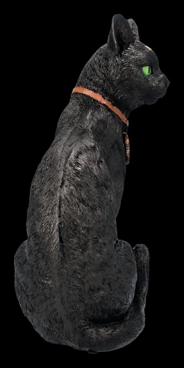 Mystische Katzen Figur Mit Magischen Symbolen 5 Mystische Katzen Figur Mit Magischen Symbolen – Bild 5